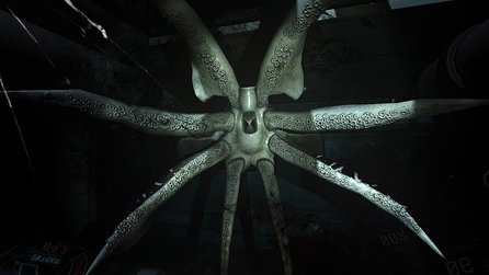 Narcosis - Wer hat Angst vor riesigen Unterwasser-Spinnen?