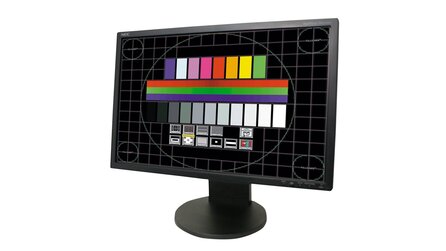 NEC EA221WM - Test: Gut verarbeiteter Monitor mit hoher Bildqualität