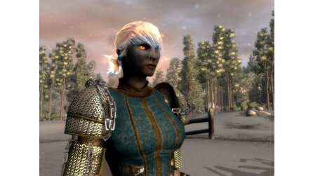 Neverwinter Nights 2: Mask of the Betrayer - Verräterische Informationen zum Addon