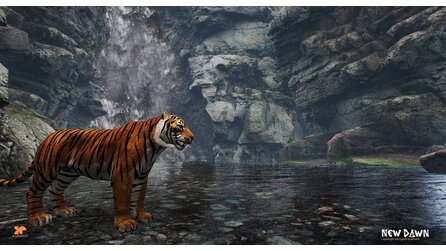 New Dawn - Screenshots