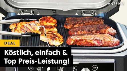 Grillen wie die Profis, ganz ohne offenem Feuer? Der Ninja Woodfire XL kommt mit digitalem Thermometer und kann sogar Räuchern!