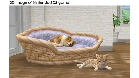 Nintendogs + Cats