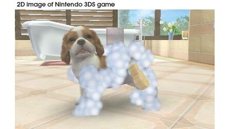 Nintendogs + Cats