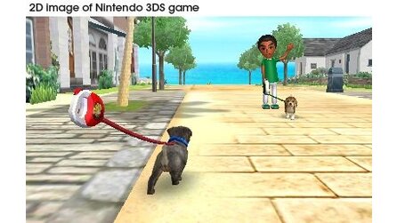 Nintendogs + Cats
