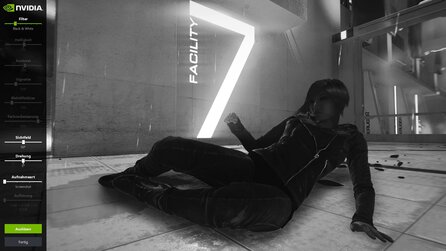 Nvidia Ansel - Filter