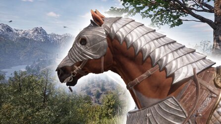 Pferderüstung in Oblivion: Bethesda macht 19 Jahre alten Fehler wieder gut – und wiederholt ihn direkt nochmal