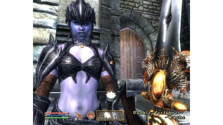 Elder Scrolls 4: Oblivion: The Shivering Isles - Beta-Patch behebt ID-Bug