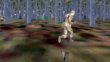 3D-Grafik im Wandel der Zeit - Vegetation in Operation Flashpoint