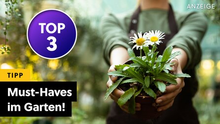 Drei Dinge, die jeder Garten im Frühling braucht - ich habe sie ausprobiert!