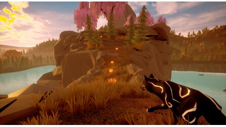 Paws and Soul - Screenshots