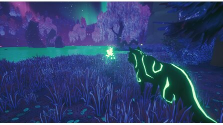 Paws and Soul - Screenshots