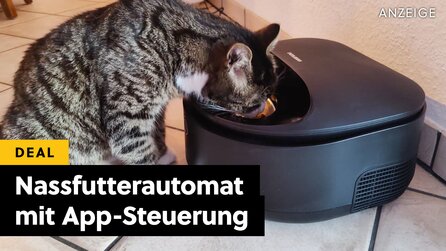 Meine Katze besitzt jetzt einen Kühlschrank und ich liebs