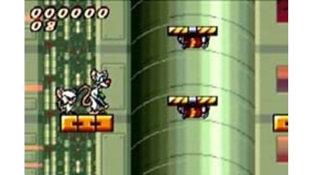 Der Pinky und der Brain GBA