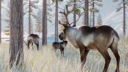 Planet Zoo bekommt seinen ersten DLC mit vier neuen Tieren aus der Arktis