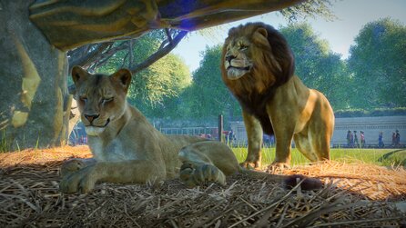 Planet Zoo - Release, Gameplay + Beta: Alle Infos kompakt