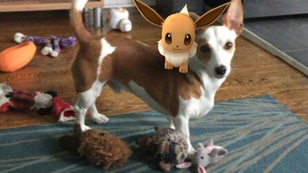 Pokémon GO - Die skurrilsten Pokémon-Fundorte