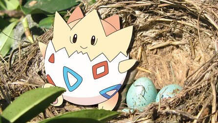 Pokémon GO - Ausblick auf Generation 2 bis 6 und die Eier, aus denen sie schlüpfen