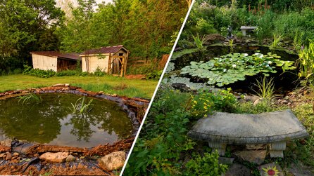 Mit 14 Jahren grub eine Teenagerin für ein Schulprojekt einen Teich und ahnte nicht, dass Tiere den Ort 9 Jahre später in ein kleines Ökosystem verwandeln würden