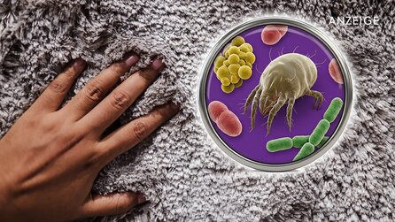 Ekelfalle Teppich: Wer hygienische Sauberkeit möchte, sollte diese besondere Art Akkusauger kennen!