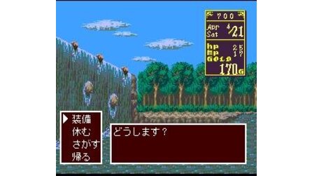 Princess Maker: Legend of Another World SNES