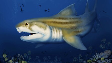 Zwei vor 325 Millionen Jahren ausgestorbene Raubtiere sind in der längsten Höhle der Erde entdeckt worden, als Fossilien