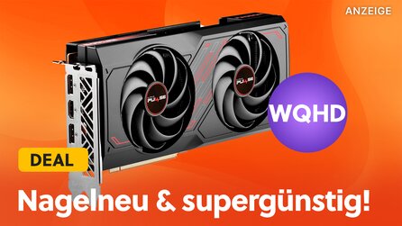 Mittelklasse-Grafikkarte der neuesten Generation für unter 250€: Dieses Amazon-Angebot schlägt alles!