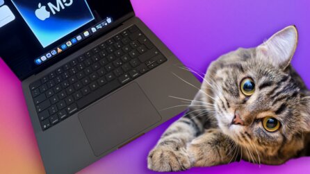 Die App PurrPad lässt das Touchpad eures MacBooks wie eine echte Katze schnurren