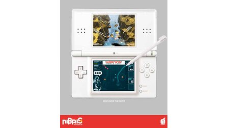 Raid Over The River DS