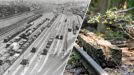 1952 wurde in Berlin ein riesiger Rangierbahnhof stillgelegt – heute ist er ein überraschendes Paradies für bedrohte Tierarten