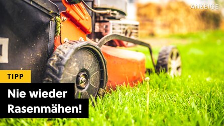 Tschüss, Rasenmäher: Ich habe seit 2 Jahren nicht mehr selbst gemäht und werde es auch nie wieder tun!