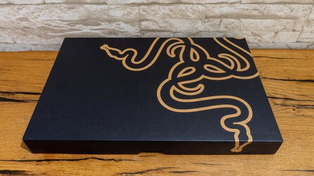 Razer Blade Pro 17 2021 Test - Fotos