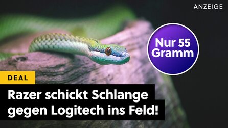 Logitech + Co. fürchten sich vor dieser Schlangenart: Jetzt gibts eine der leichtesten und schnellsten Gaming-Mäuse günstig wie noch nie!