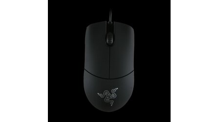 Razer - Einsteigermaus Salmosa