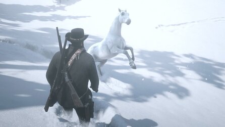 Bestes Pferd in Red Dead Redemption 2: So bekommt ihr den weißen Araber