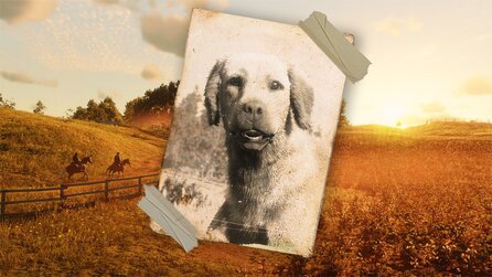 Das herzzerreißende Geheimnis der Hunde in Red Dead Online