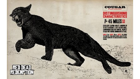 Red Dead Redemption - Große RDR-Wallpaper im Widescreen-Format