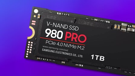 Kaputtes Mainboard für 40 Dollar gekauft, SSD im Wert von 240 Dollar gefunden – daraus können wir alle lernen