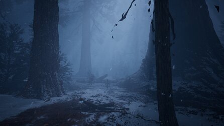 Redwood Forest - Screenshots aus der wunderschönen Unreal-Engine-Demo