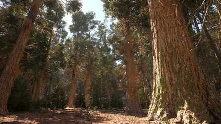 Redwood Forest - Screenshots aus der wunderschönen Unreal-Engine-Demo