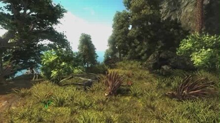 Risen - Stimmungsvolles Video
