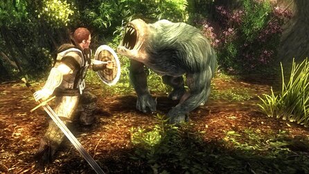 Risen - Internetseite lässt die Risen-Welt erkunden (Update)