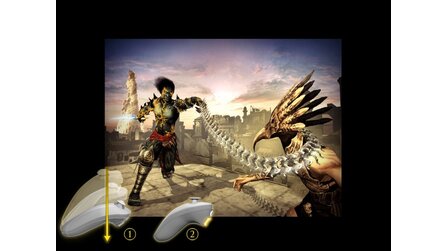 Prince of Persia: Rival Swords Wii
