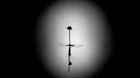 Solarbetriebene Roboterbiene X-Wing fliegt, wenn auch nur kurz