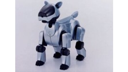 Forscher will Roboter-Gesetze - Internationale Regelungen gefordert