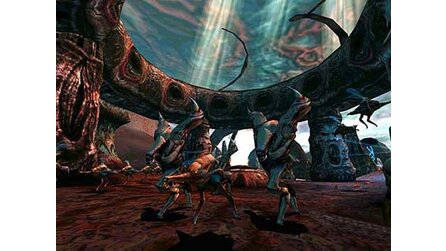 Sacrifice demonstriert NV 15