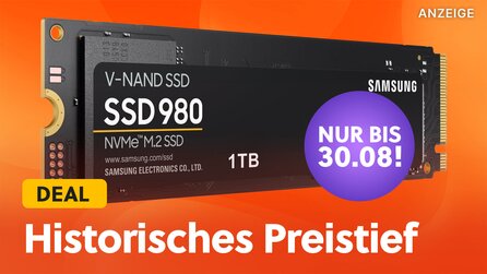 1 TB für nur 37,99€: Samsung 980 NVMe SSD jetzt im historischen Preistief günstiger als der Preis-Leistungs-Sieger