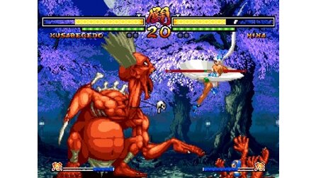Samurai Shodown V