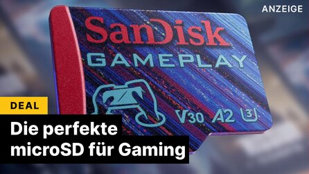 Speichererweiterung für Switch + Steam Deck: Eine microSD für Gamer!
