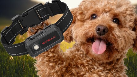 Auf der IFA habe ich das perfekte Mini-Gadget für meinen Hund entdeckt – doch er darf es nicht nutzen