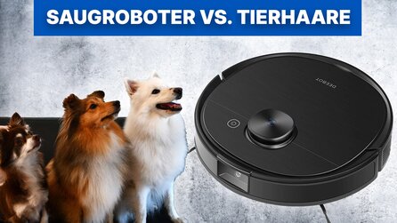 Saugroboter gegen Tierhaare im Test: Wir lassen die Roborock Alternative durch die Hölle fahren!